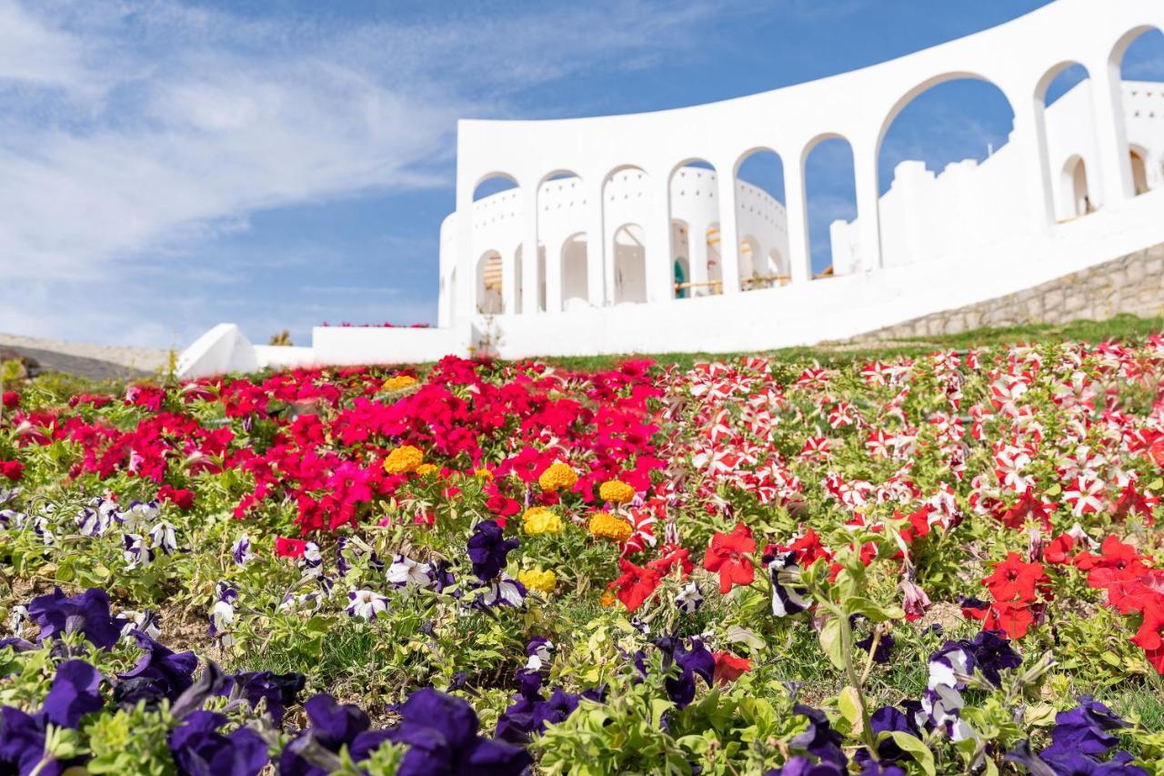 Benben By Dhara Hotels - Adults Only Aswan Buitenkant foto The Flower Festival in the city of Akita